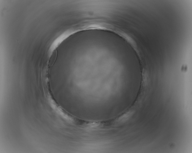 X0000112731373200909101441