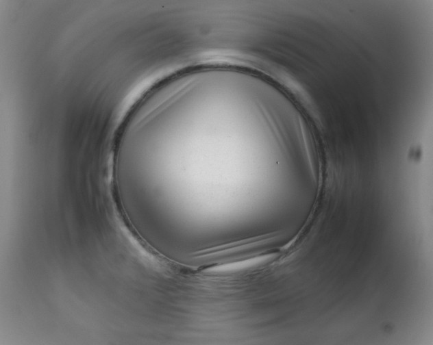 X0000112731376200909101441