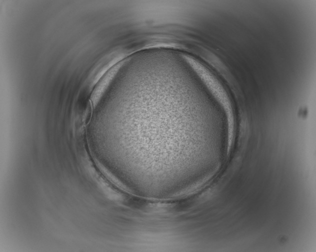 X0000112731377200909101441