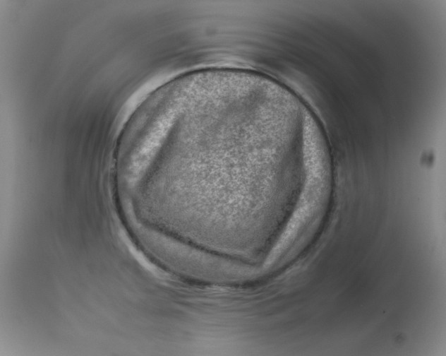 X0000112731379200909101441