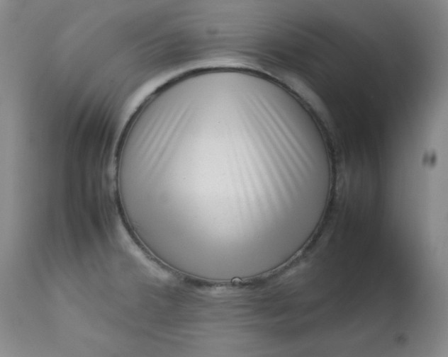 X0000112731380200909101441