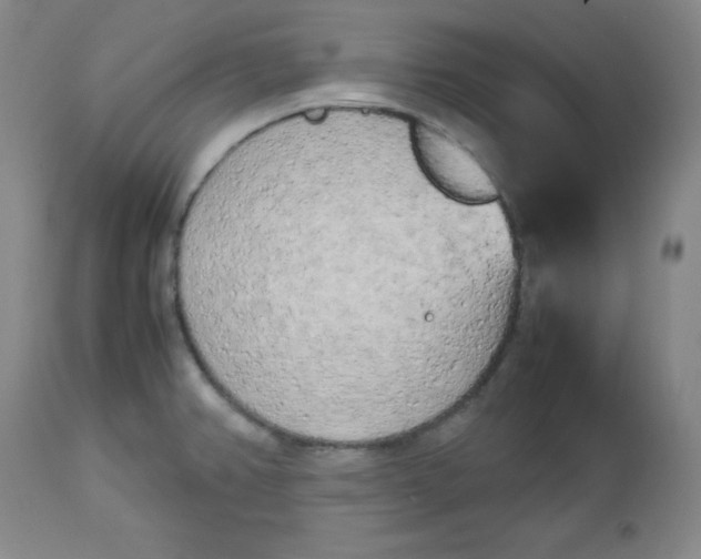 X0000112731382200909101441