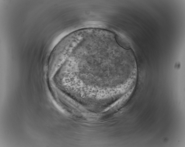 X0000112731383200909101441