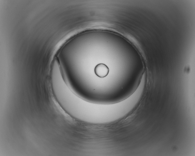 X0000112731384200909101441