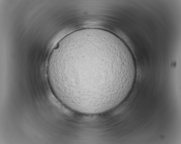 X0000112731386200909101440