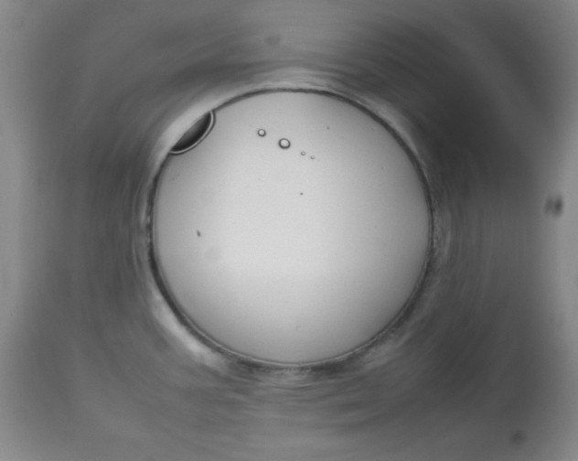 X0000112731387200909101440