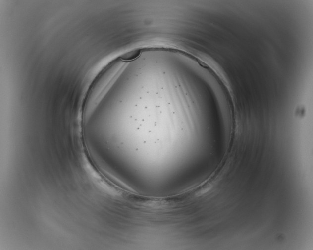 X0000112731388200909101440