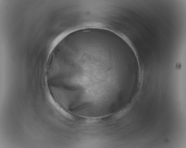 X0000112731389200909101440