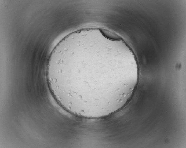 X0000112731390200909101440