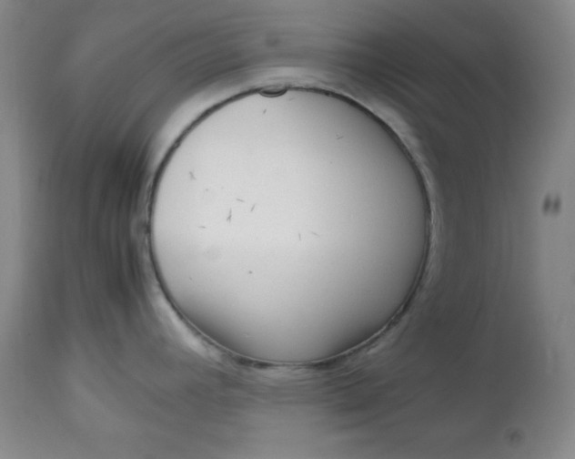 X0000112731392200909101440