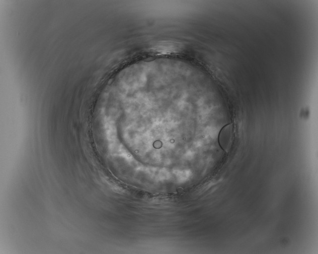 X0000112731393200909101440