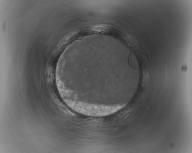 X0000112731394200909101440