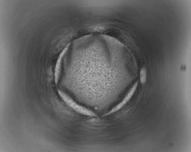 X0000112731395200909101440