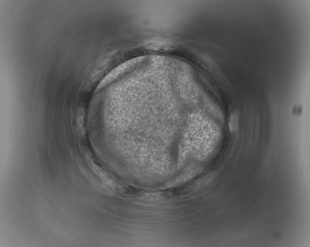 X0000112731396200909101440