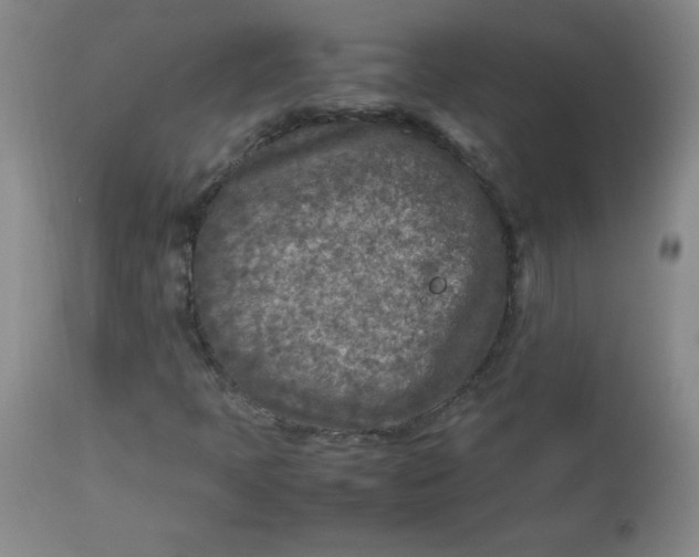 X0000112731397200909101440