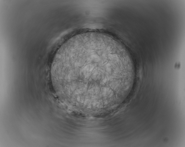 X0000112731398200909101440