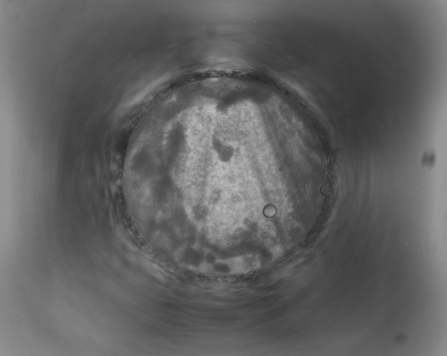 X0000112731399200909101440