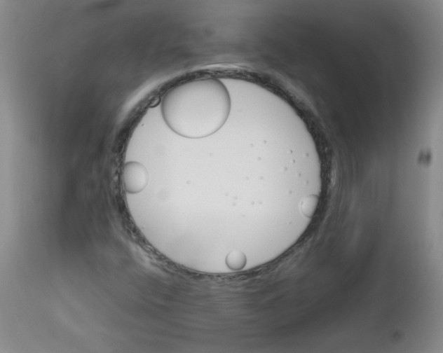 X0000112731400200909101440