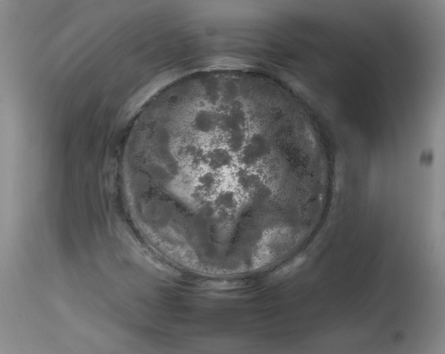 X0000112731401200909101440