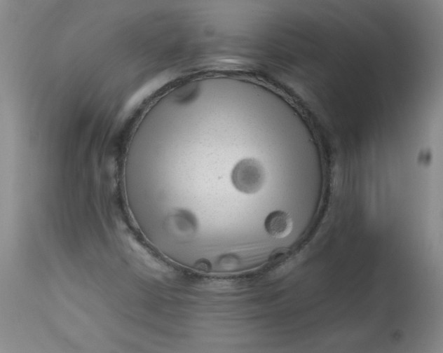 X0000112731402200909101440