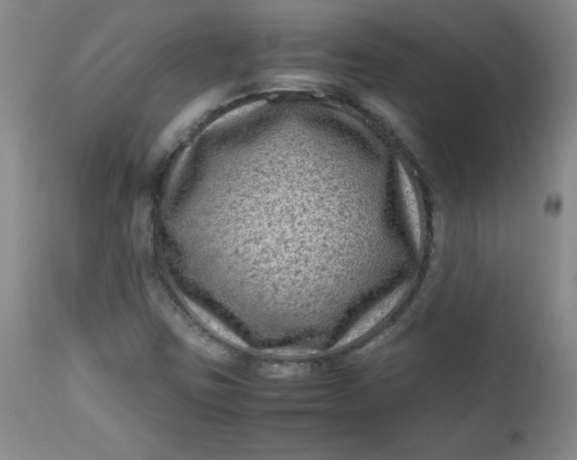 X0000112731403200909101440