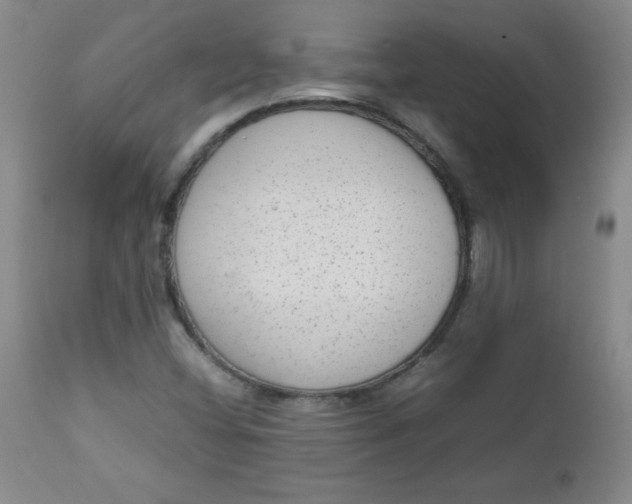 X0000112731404200909101440