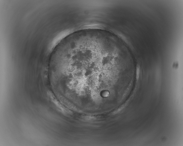 X0000112731405200909101440