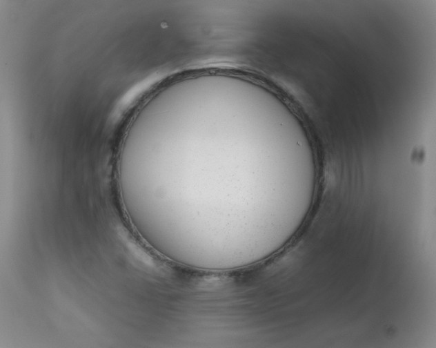 X0000112731406200909101440