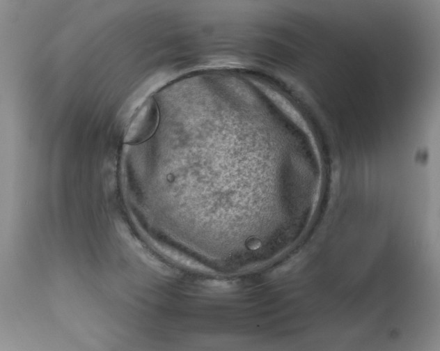 X0000112731409200909101440