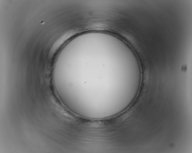 X0000112731410200909101440