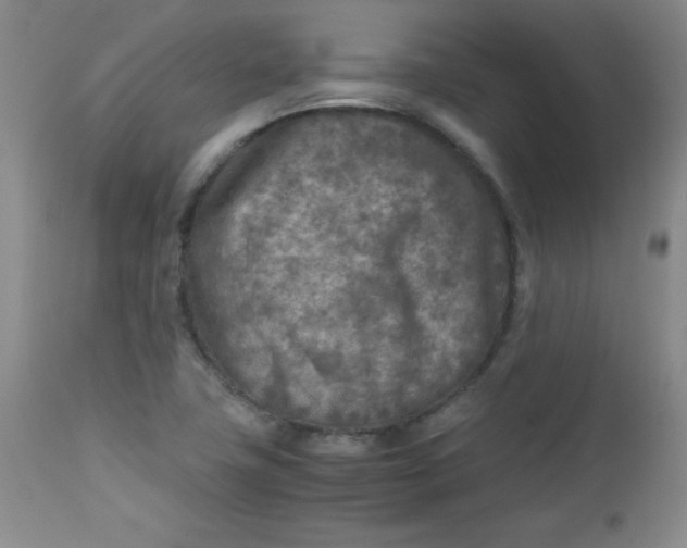 X0000112731411200909101440