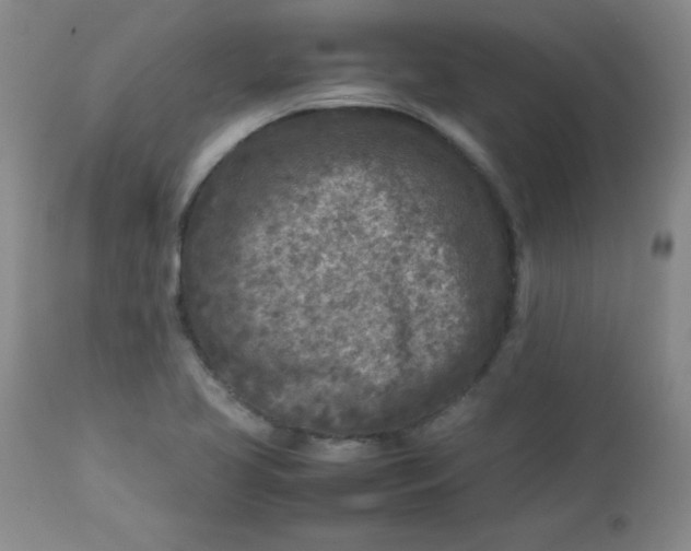 X0000112731413200909101440