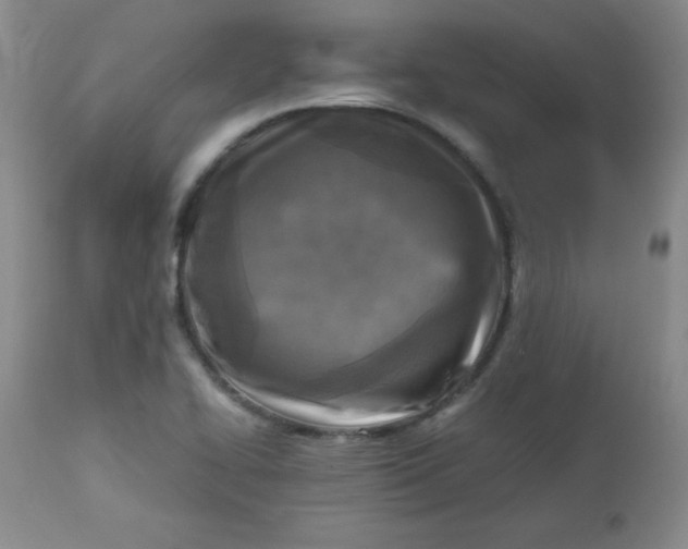 X0000112731414200909101440