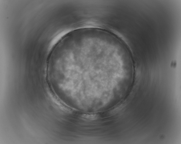 X0000112731415200909101440