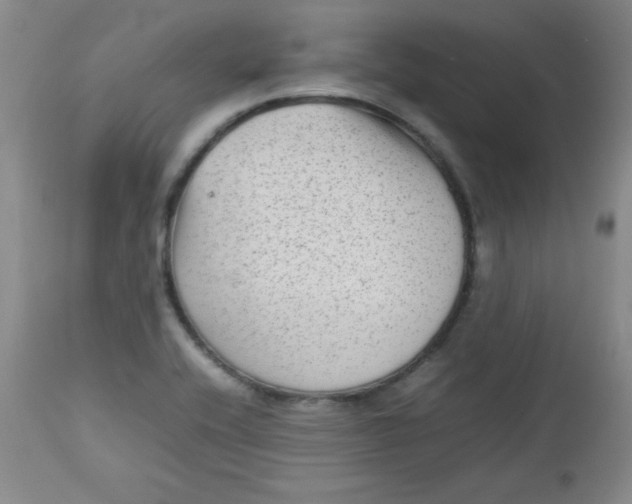 X0000112731416200909101440