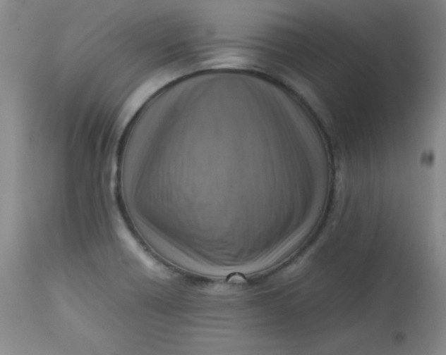 X0000112731418200909101440