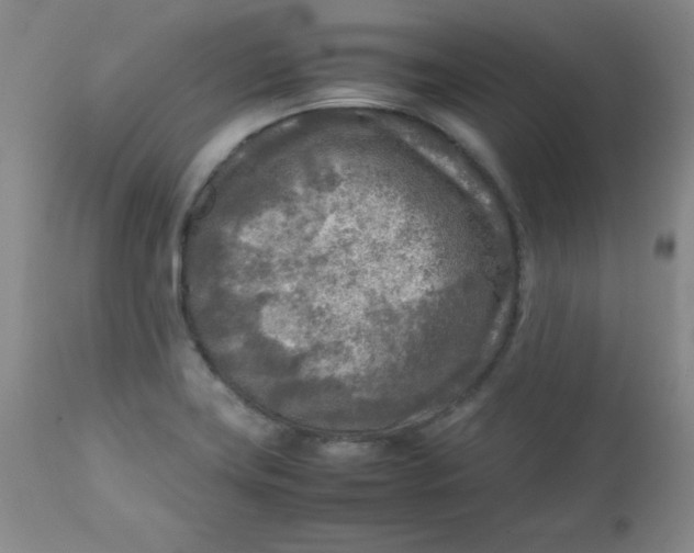 X0000112731419200909101440