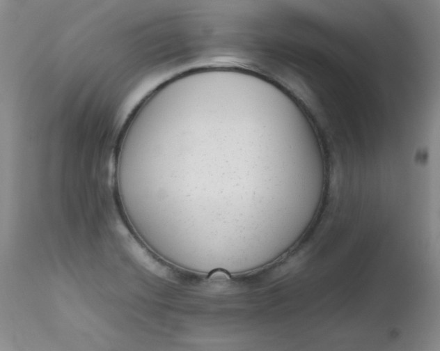 X0000112731420200909101440