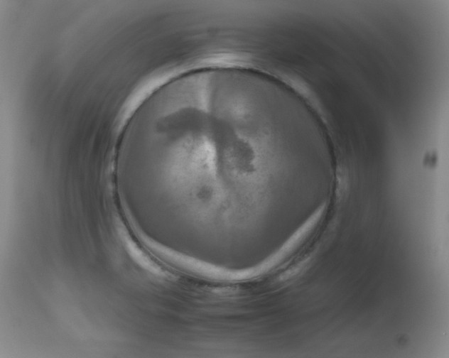 X0000112731421200909101440