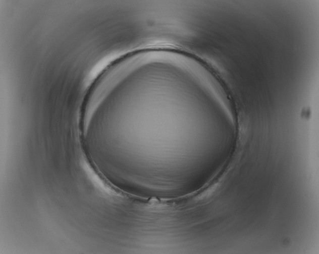 X0000112731422200909101440