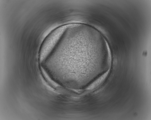 X0000112731423200909101440