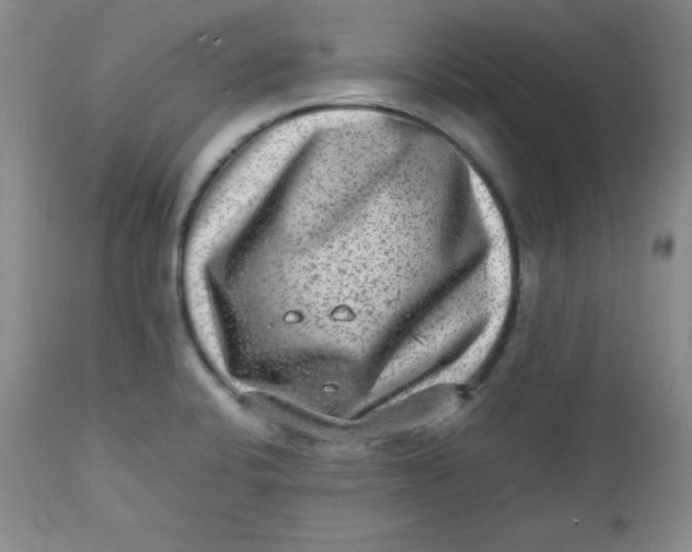 X0000112731424200909101440