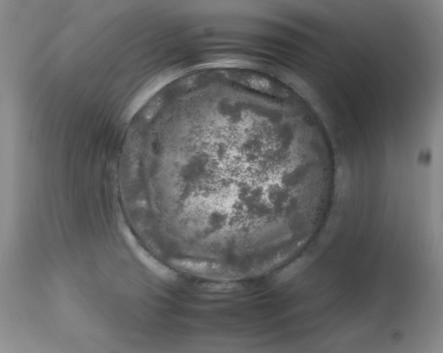 X0000112731425200909101440