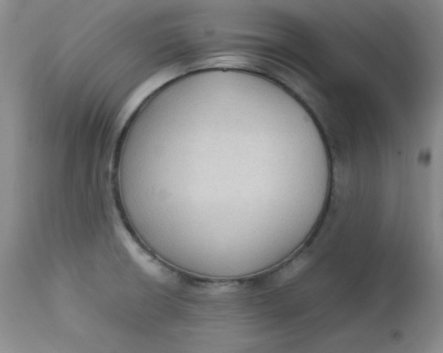 X0000112731426200909101440