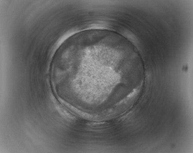 X0000112731427200909101440