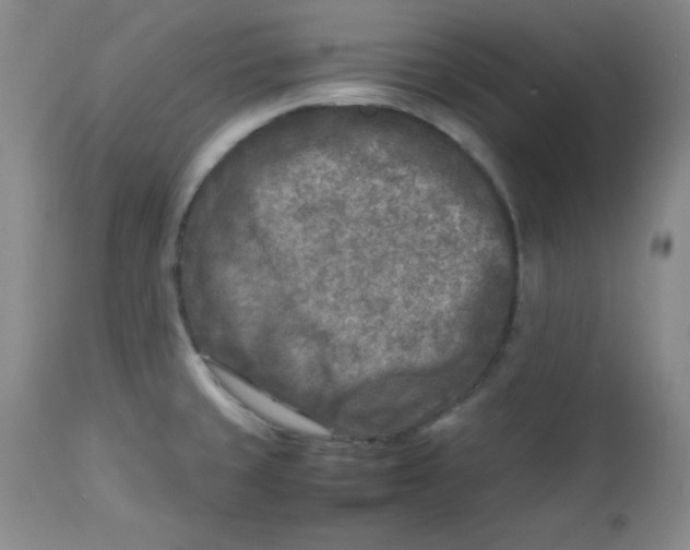 X0000112731429200909101440