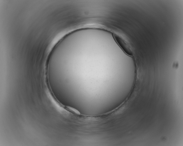 X0000112731430200909101440