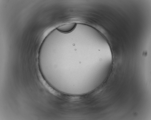 X0000112731431200909101440