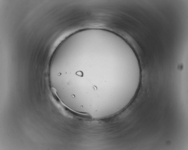 X0000112731432200909101440