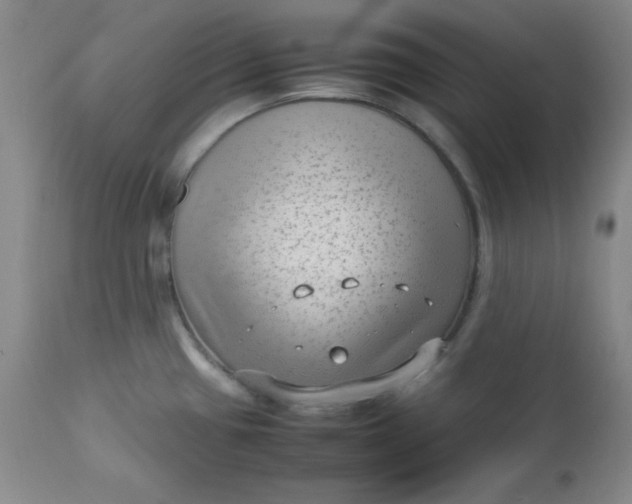 X0000112731433200909101440